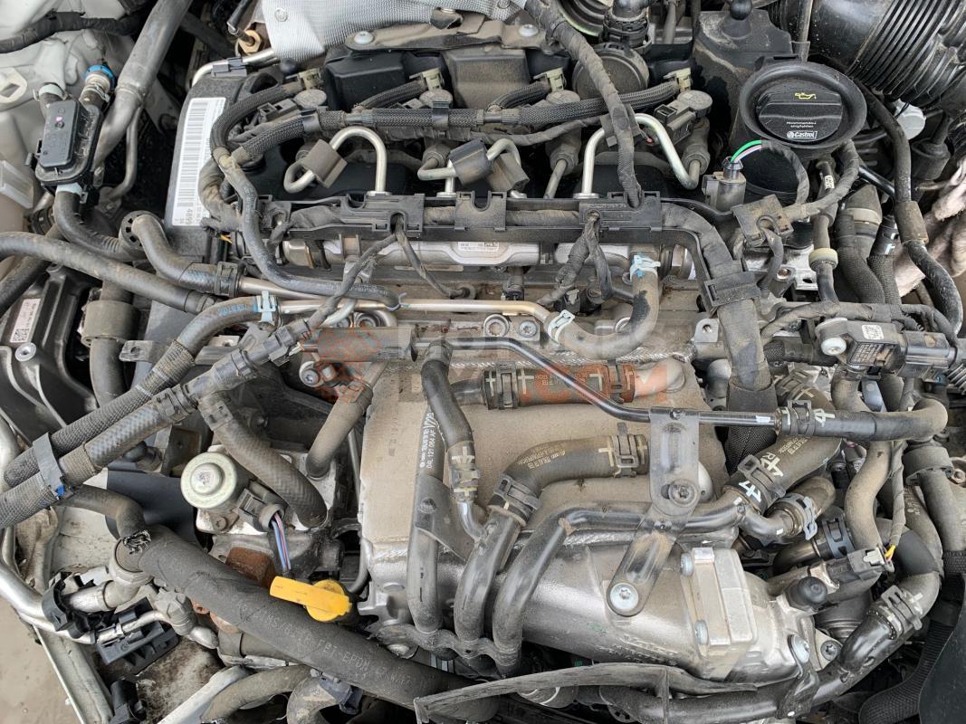 Motor DDY Volkswagen Golf VII (Versión 2016) 1.6 TDI (115 cv) BMT