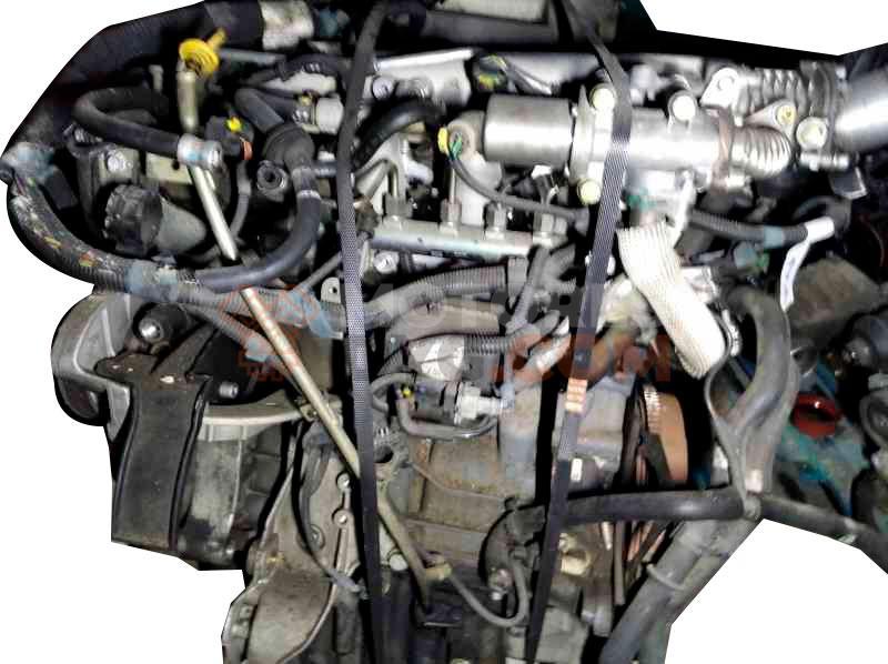 Motor 188B2000 Lancia Musa 1.9 CDRi Multijet (100 cv)