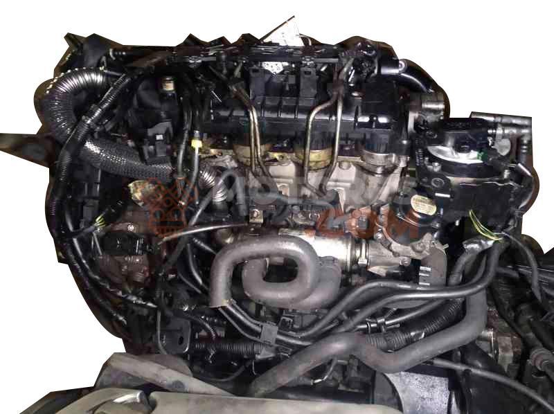 Motor G8DD Ford Focus II Sedan 1.6 TDCi HP (109 cv)