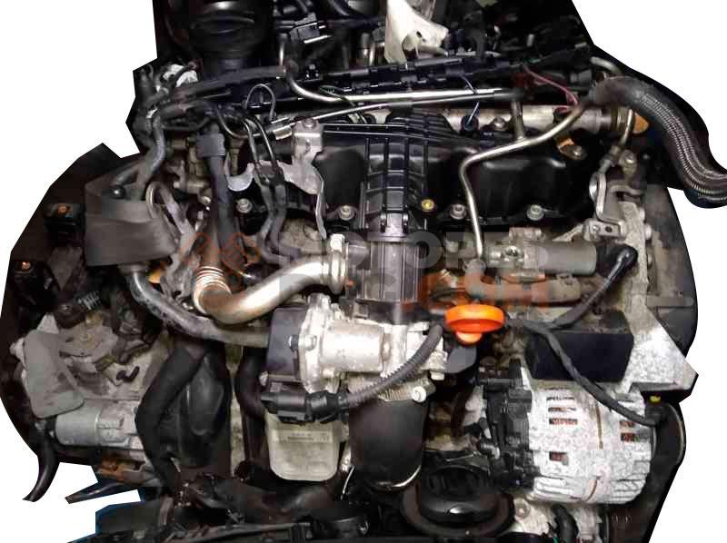 Motor CAYB Skoda Roomster (Versión 2010) 1.6 TDI (90 cv) DPF