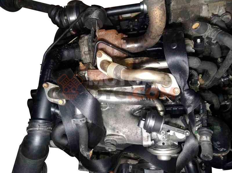 Motor BVK Volkswagen Sharan I 1.9 TDI (115 cv)