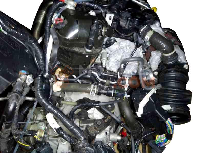 Motor XWMB Ford Kuga II (Versión 2016) 1.5 EcoBoost (120 cv)