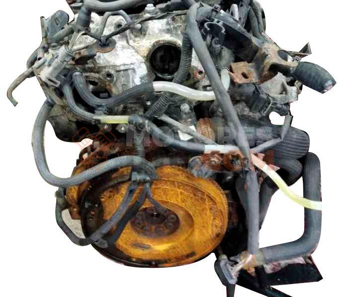 Motor M9R786 Nissan PRIMASTAR Furgón (X83) dCi 115 (114 cv)