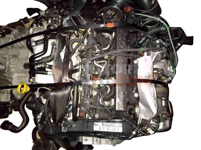 Motor DFG Volkswagen Tiguan II 2.0 TDI (150 cv) BMT