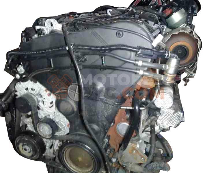 Motor DEU Audi A4 (B9 8W) 2.0 TDI (150 cv)