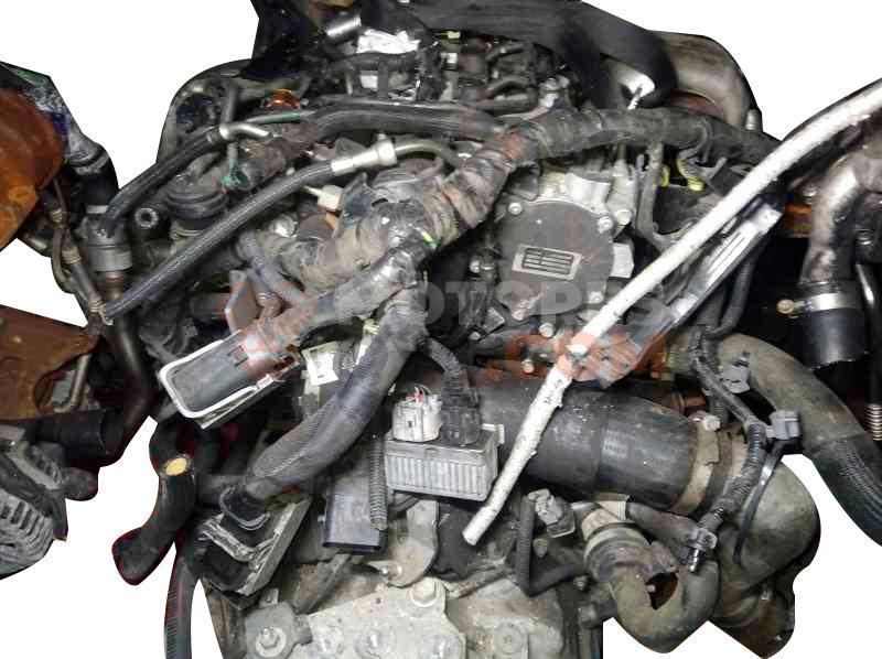 Motor A22DM Opel Antara (Versión 2010) 2.2 CDTI (163 cv) Automatico