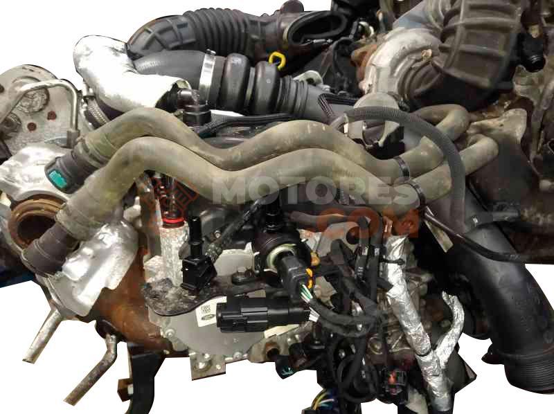 Motor YLF6 Ford Transit Custom V632 Furgón (FY,FZ) 2.0 Ecoblue (105CV)