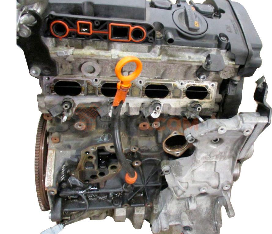 Motor Bwe Audi A4 (B7 8E) 2.0 (130 cv)