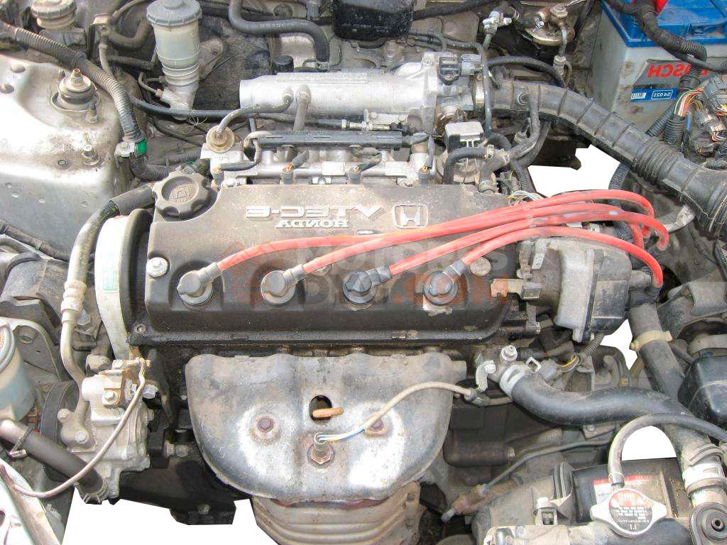 Motor D15z1 Honda Civic Hatchback V 1.5i 16V (90 cv)