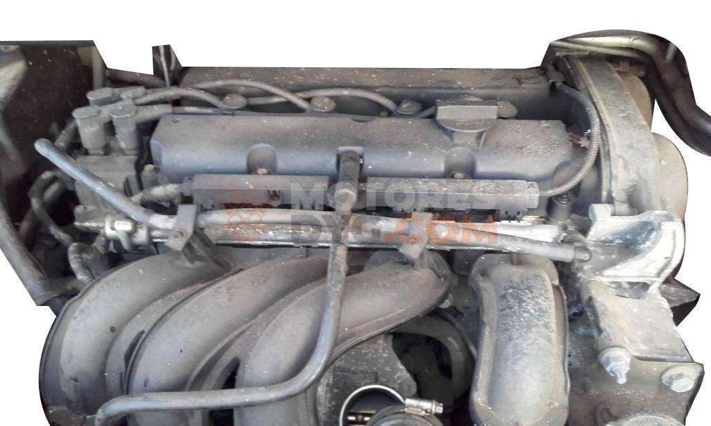 Motor 4m5g Ford C-MAX 1.6 16V (116 cv) Ti-VCT