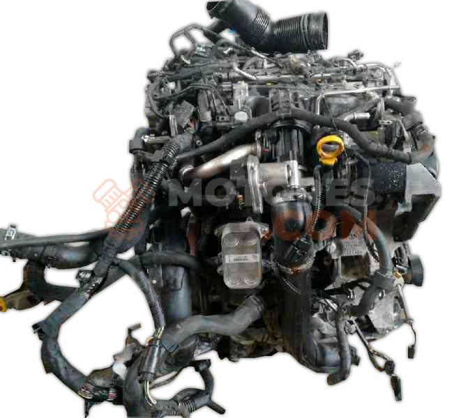 Motor CAYA Skoda Fabia II (Versión 2010) 1.6 TDI (75 cv) CR DPF