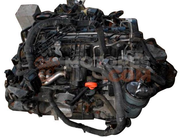 Motor CAYM Seat Leon I (1M) 1.6 16V (105 cv)