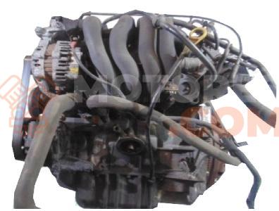 Motor L1W Ford Puma (ECT) 1.6 i 16V (103 cv)