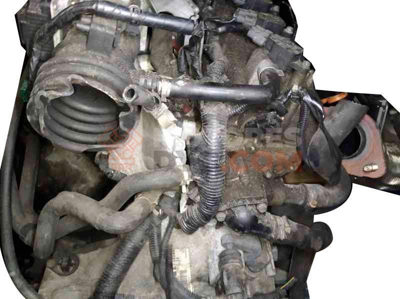 Motor QG15DE Nissan Almera II (N16) 1.5 (90 cv)