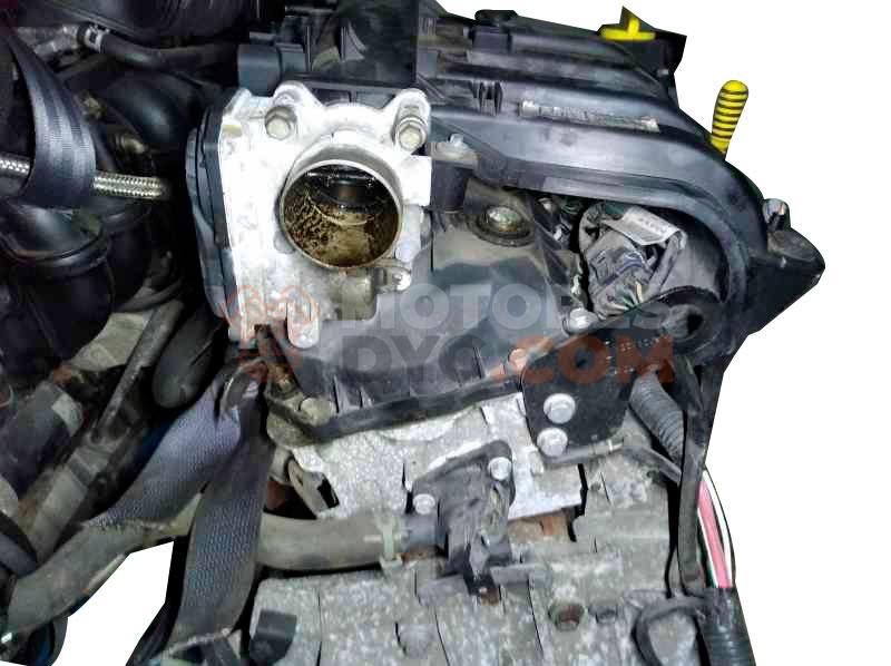 Motor D4F722 Renault Clio II 1.2 (75 cv)