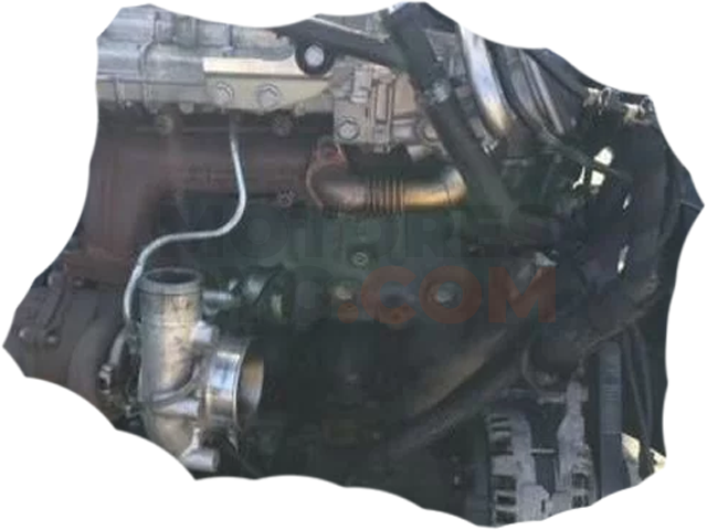 Motor NLO Iveco Daily IV Caja/Chasis 35C17, 35C177 / P, 35S17, 35S17 /P, 35S17 D (170 cv)
