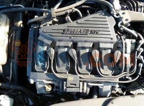 Motor 182 A6.000 Fiat Brava (182) 1.4 12 V (182.BA) (80 cv)