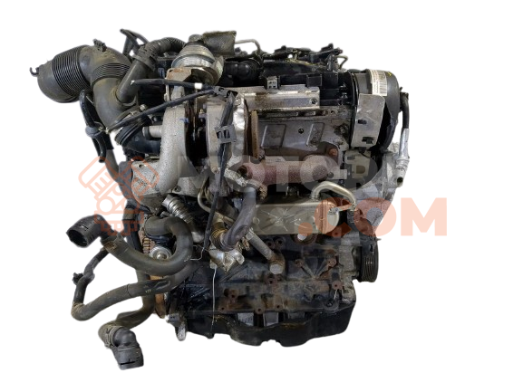 Motor 1X436 Dacia Duster 1.6 (105 cv) 4x4