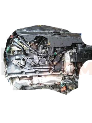 Motor 2067484826 Nissan Cima (F50) 4.5 i V8 32V (280 cv)