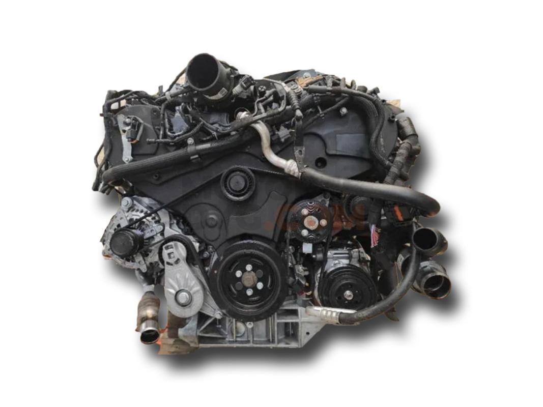 Motor 224DT Land Rover Range Rover Evoque I 2.2 eD4 (150 cv)