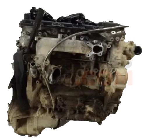 Motor 3DN12AB01 Nissan Patrol GR II (Y61) 4.2 TD (160 cv)