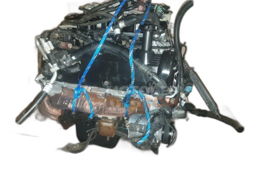 Motor 3L3E Ford F-150 5.4L V8 (304  cv)