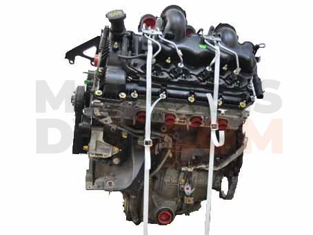 Motor 448DT Land Rover Range Rover IV 4.4 V8 (339 cv) AWD Automatico