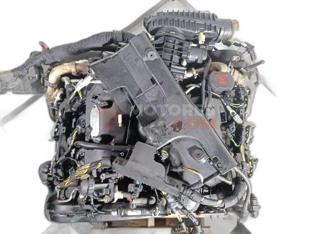 Motor 7G Jaguar XF (X250 Versión 2011) 2.2d (163 cv) Automatico