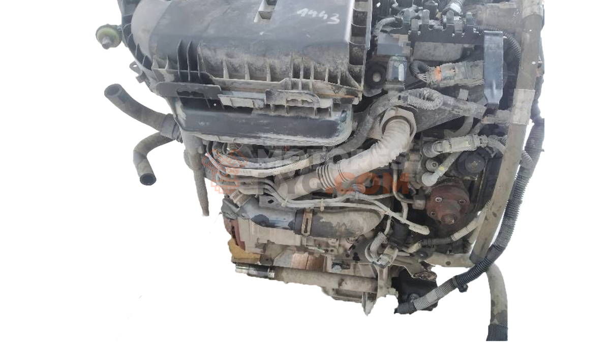 Motor 9H07 Fiat Scudo Furgón (270_, 272_) 1.6 D Multijet (90 cv)