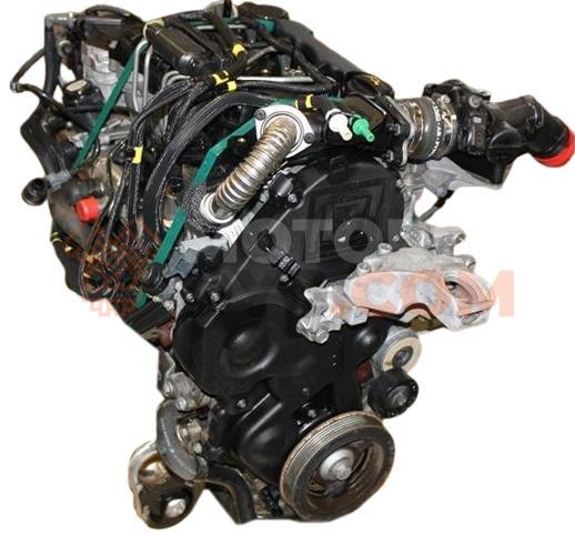 Motor 9HW Citroen Berlingo I (Versión 2002) 1.6 HDi (75 cv) FAP