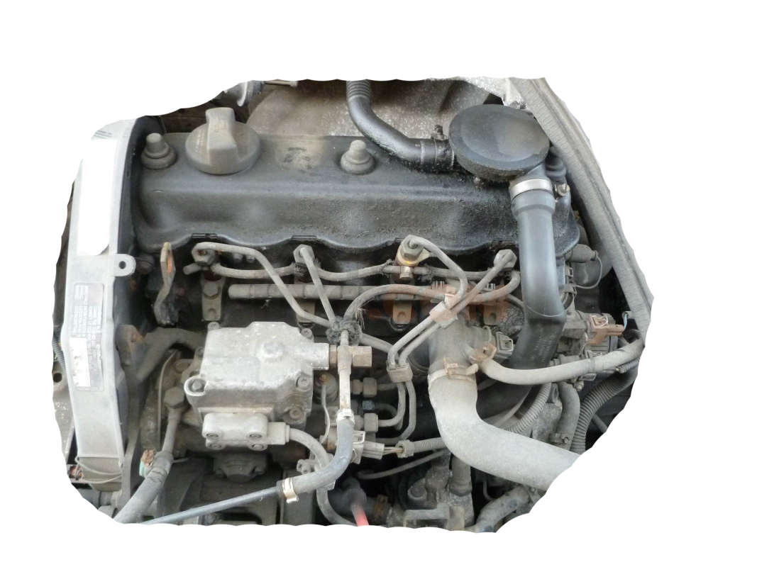 Motor aey Volkswagen CADDY III (2K,2C) 1.9 TDI (105cv)