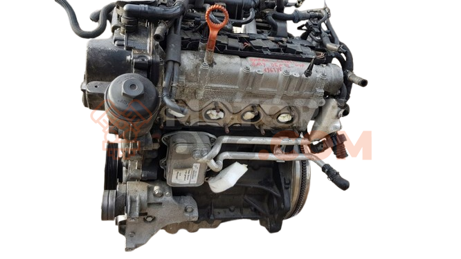 Motor AHW Volkswagen Polo IV (9N3) 1.4 (80 cv)