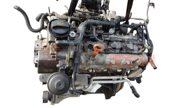 Motor AHW Volkswagen Polo IV (9N3) 1.4 (80 cv)