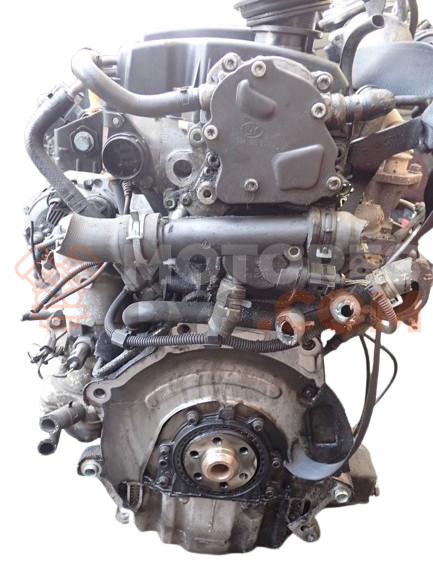 Motor AMF Volkswagen Polo IV (9N) 1.4 (60Cv)