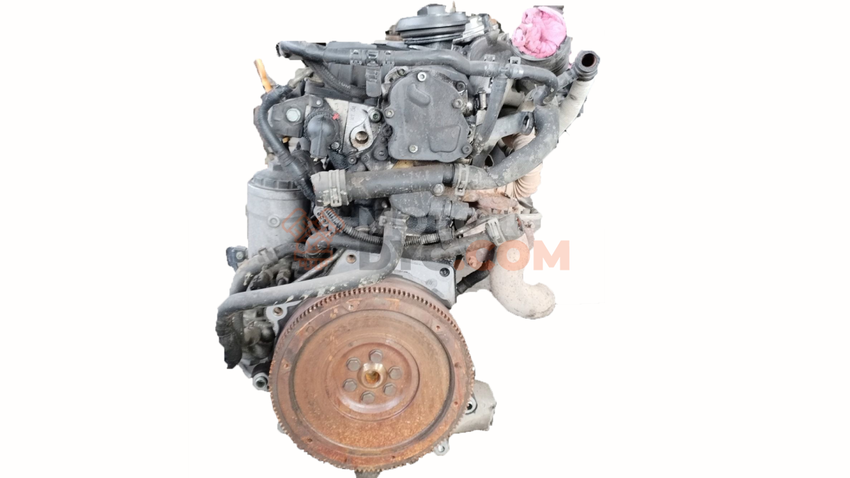 Motor AMF Volkswagen Polo IV (9N) 1.4 (60Cv)