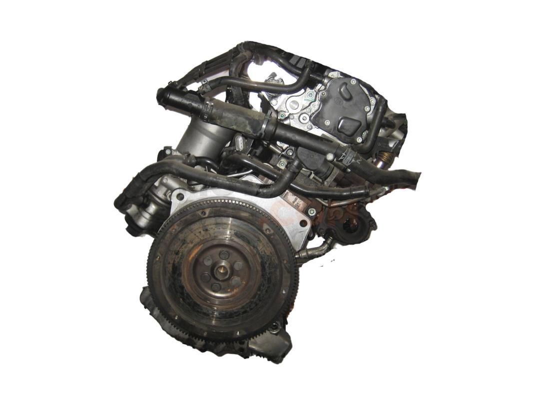 Motor AMF Volkswagen Polo IV (9N3) 1.4 (80 cv)