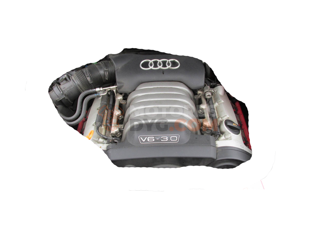 Motor asn Audi A4 Avant (B6 8E) 3.0 V6 (220 cv) quattro