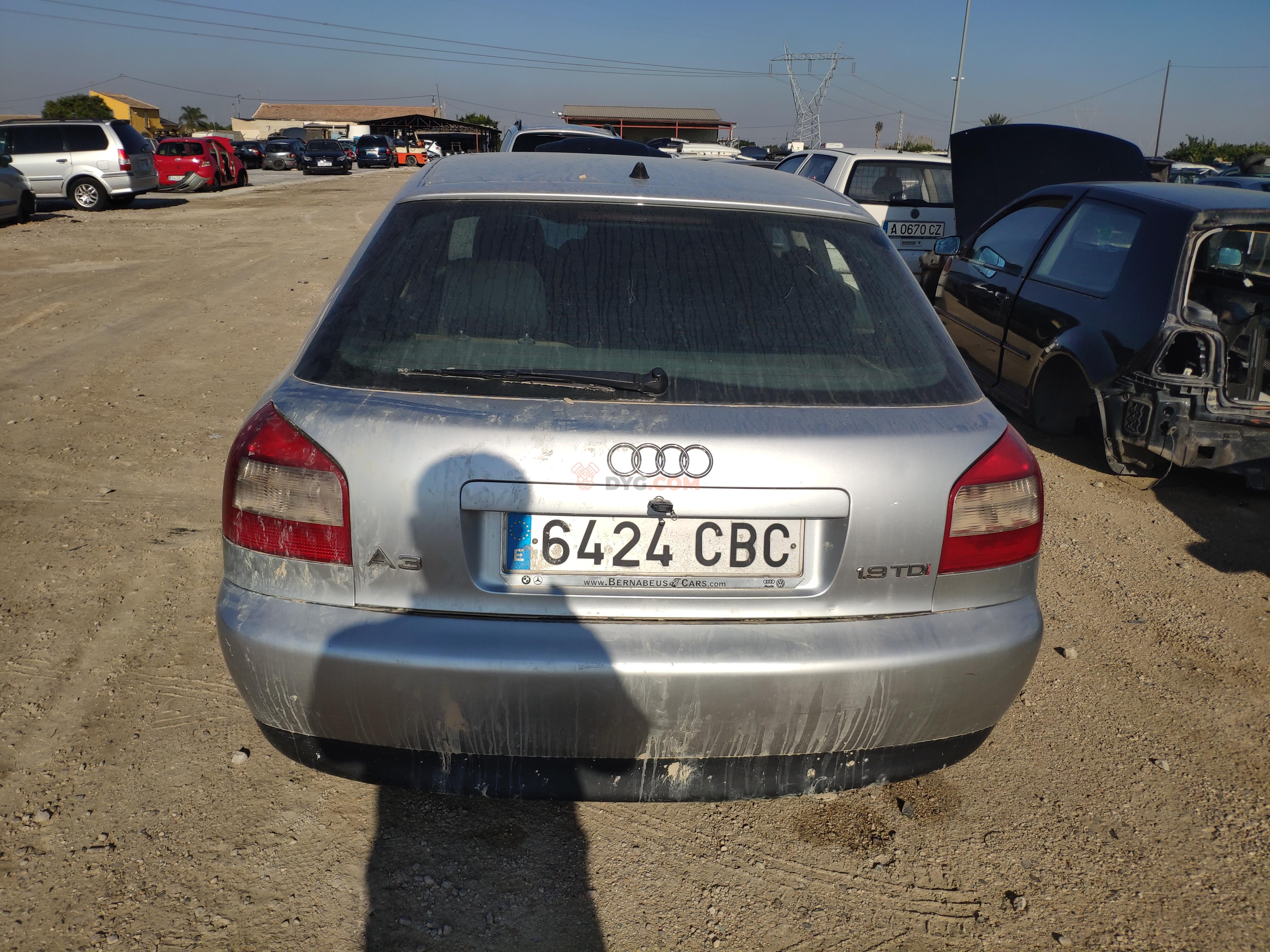 Motor DASZ Audi A3 (8L) Versión 2000 1.9 TDI (130 cv)
