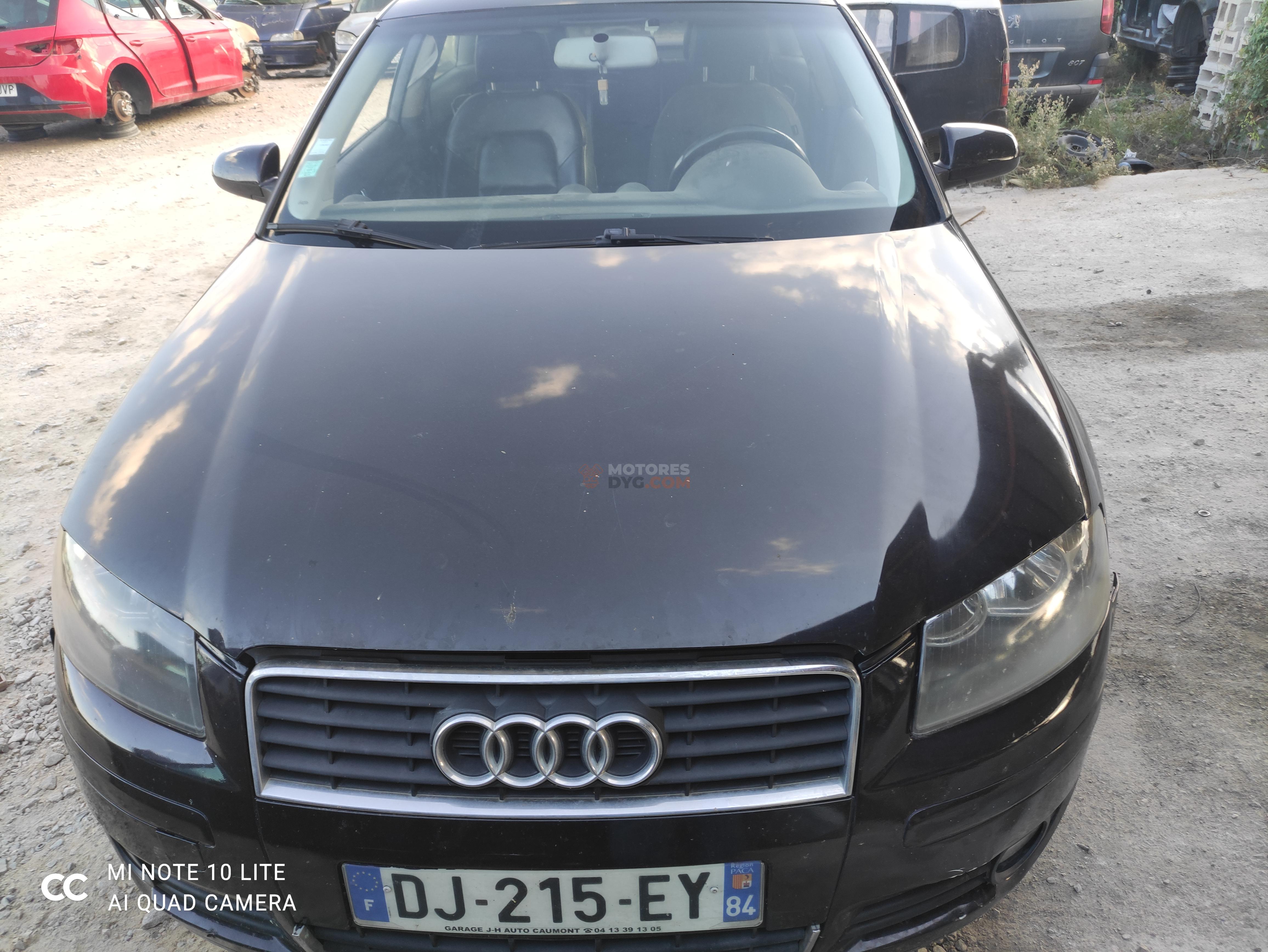 Motor DBKC Audi A3 (8P) 1.9 TDI (105 cv)