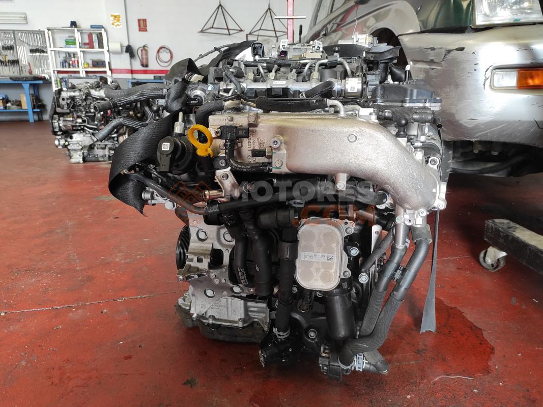 Motor DTR - DTRB Audi Q2 30 TDI (115cv)