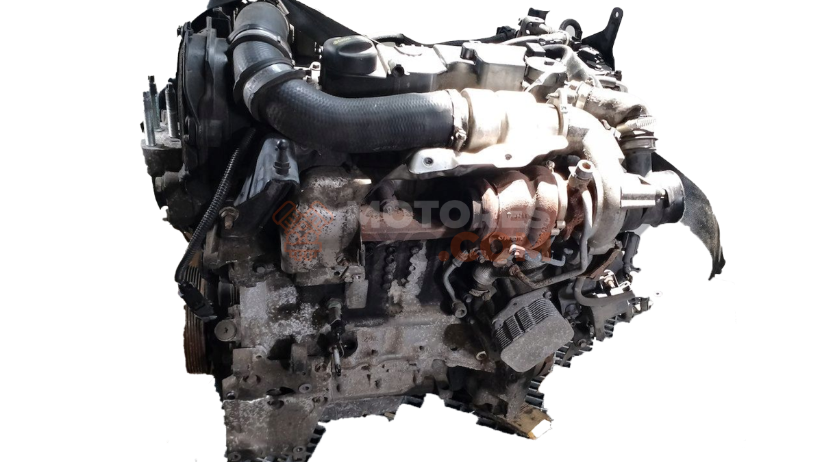 Motor AV2Q Ford Fiesta VII (Versión 2013) 1.6 TDCi (95 cv)