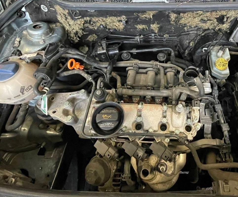 Motor AWY Volkswagen Polo IV (9N) 1.4 16V (101 cv)