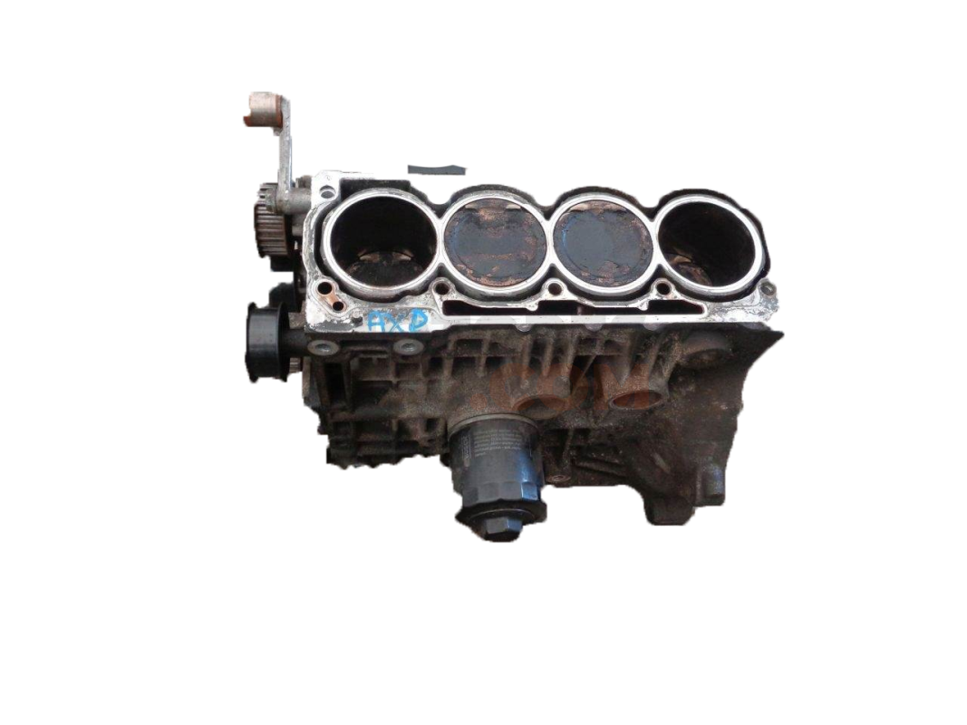 Motor axp Volkswagen Golf IV Variant (1J5) 1.6 16V (105 cv)