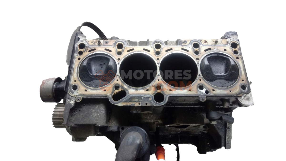 Motor AXW Audi A3 (8P) 2.0 TDI (140 cv)