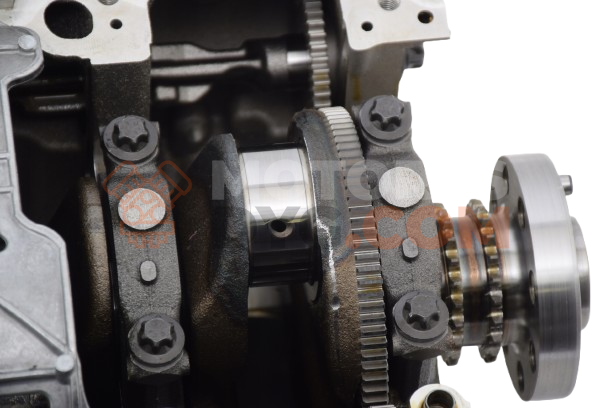 Motor B46 B20 B Bmw X3 (E83) 2.0d (150 cv)