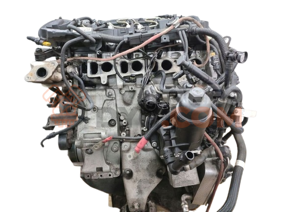 Motor B48 B20 B Bmw Serie 1Hatchback (F20) 125d (218 cv)