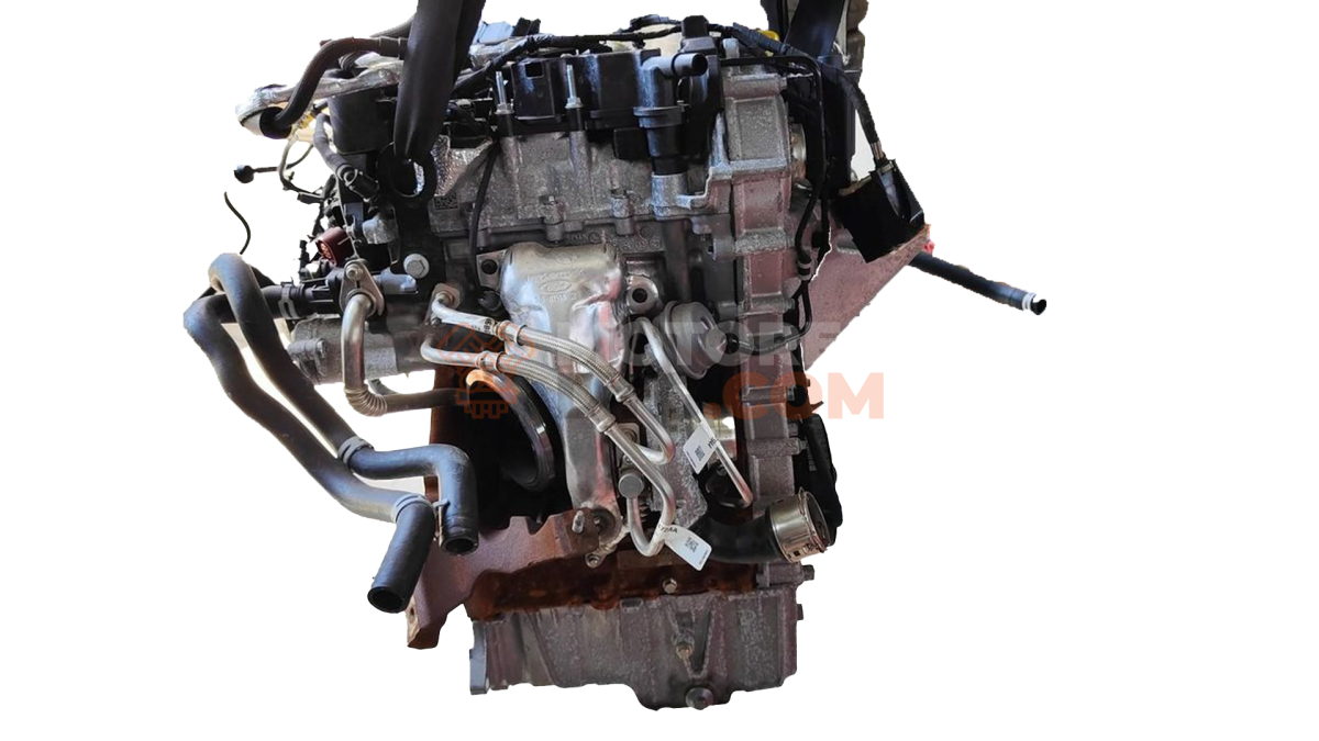 Motor B7DA Ford FOCUS IV 1.0 EcoBoost (101 CV)