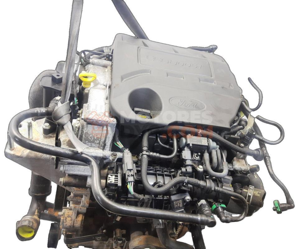 Motor B7DA Ford FOCUS IV 1.0 EcoBoost  (125 CV)