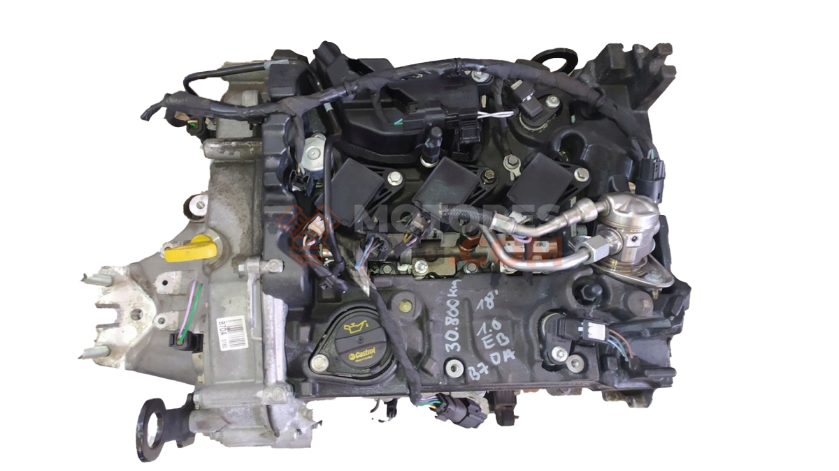 Motor B7DA Ford FOCUS IV 1.0 EcoBoost mHEV Active (125 CV)