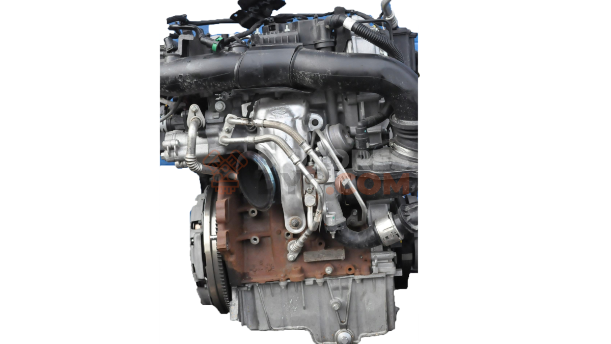 Motor B7JB Ford FIESTA VII (HJ, HF) 1.0 EcoBoost (125 cv)